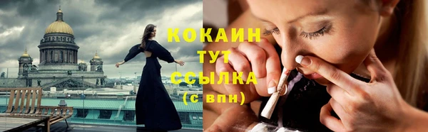 ПСИЛОЦИБИНОВЫЕ ГРИБЫ Верея