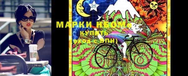 ПСИЛОЦИБИНОВЫЕ ГРИБЫ Верея