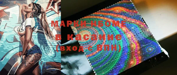 ПСИЛОЦИБИНОВЫЕ ГРИБЫ Верея