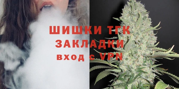 ПСИЛОЦИБИНОВЫЕ ГРИБЫ Верея