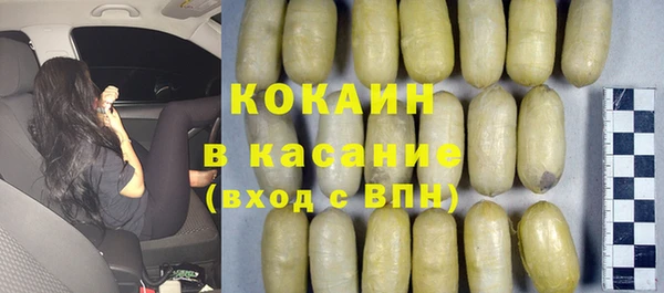 твердый Бородино